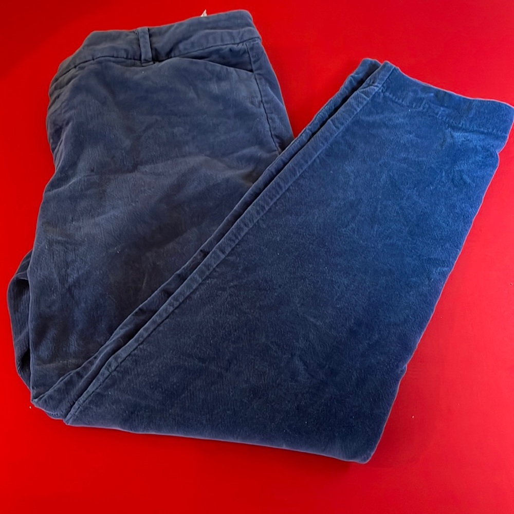 🟡 OLD NAVY BLUE VELVETY PIXIE MID RISE ANKLE PANTS (10)